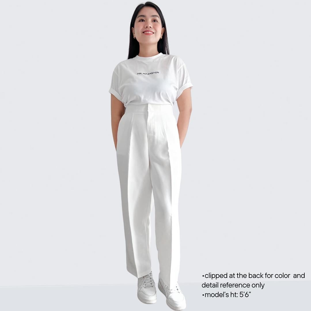 Mirabel Pleated Straight Pants (Plus-size)